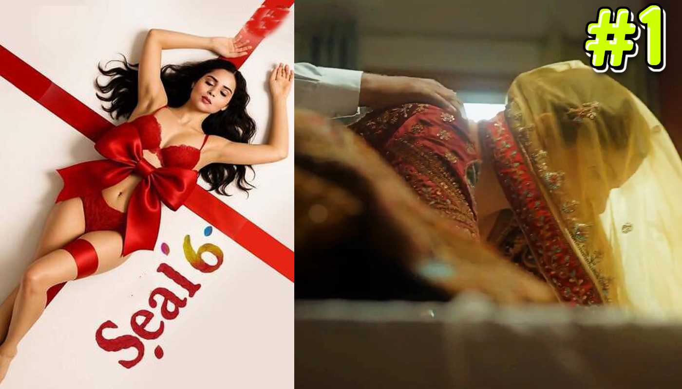 Seal 6 EP1 PrimeShots Hindi Hot Web Series